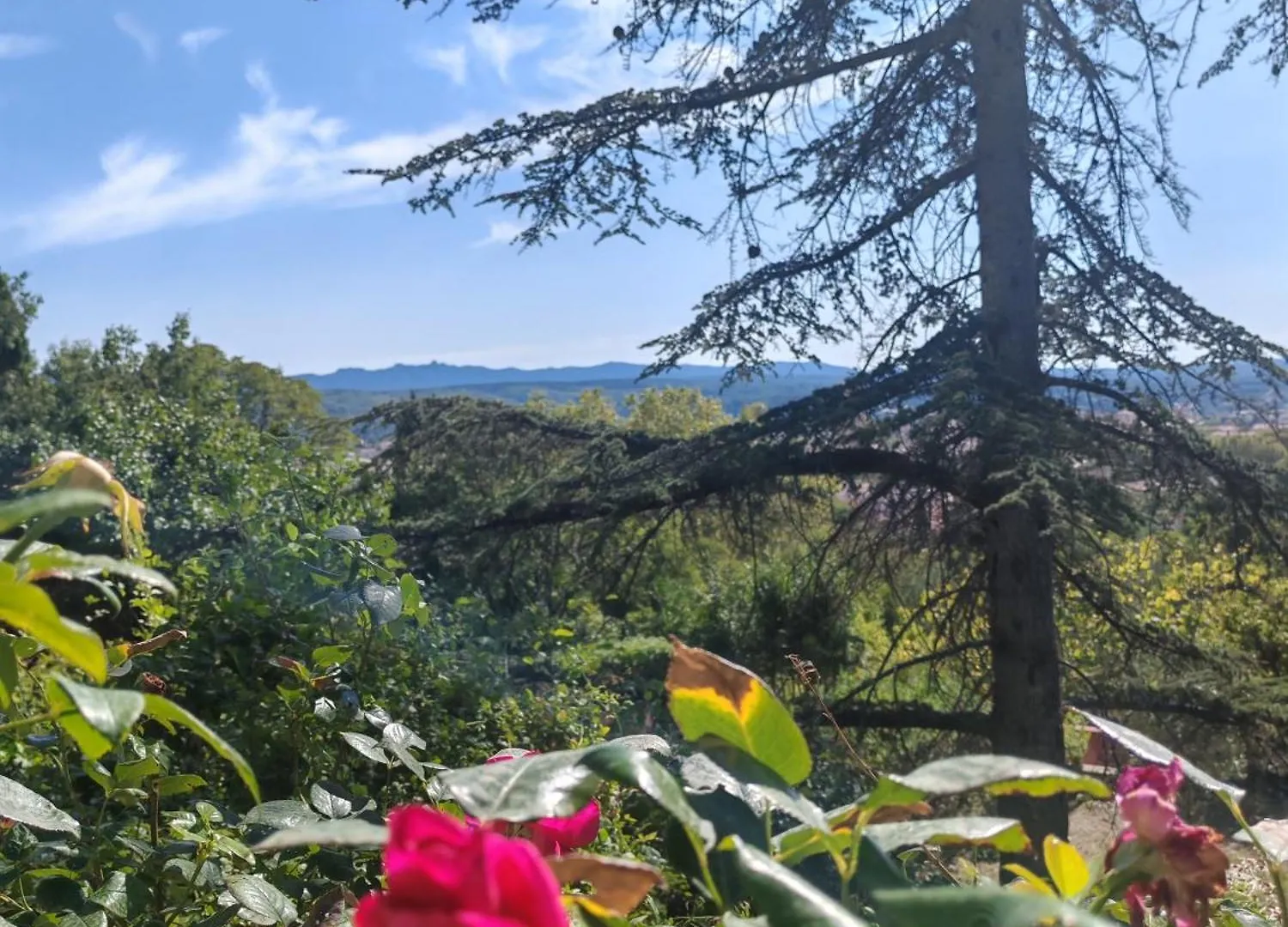 Bed & Breakfast Chambre D'Hote De Charme 